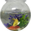 Komodo Round Plastic Fish Bowl