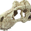 Komodo T-Rex Skull