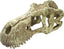 Komodo T-Rex Skull