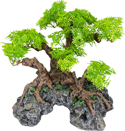 Komodo Bonsai Tree With Hide