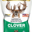 Imperial Whitetail Clover