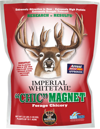 Imperial Whitetail  Chic  Magnet Forage Chicory
