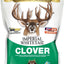 Imperial Whitetail Clover