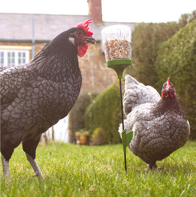 Omlet Chicken Poppy Peck Toy