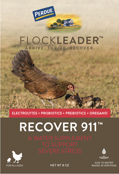 Perdue Flockleader Recover 911 poultry supplement powder package front view