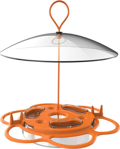 All-In-One Oriole Buffet
