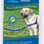 Petsafe Easy Walk Dog Harness