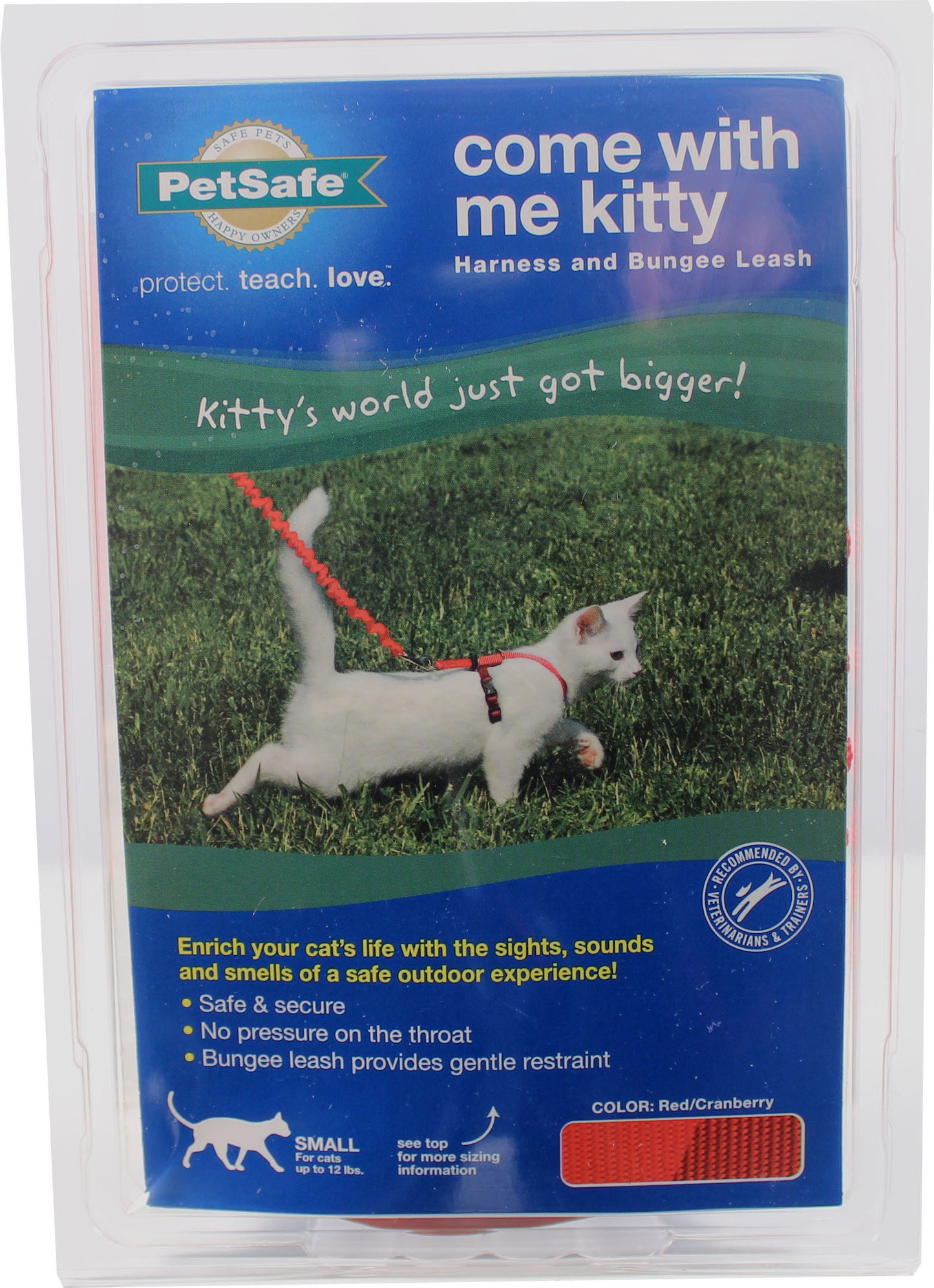 Come With Me Kitty Cat Harness & Bungee Leash
