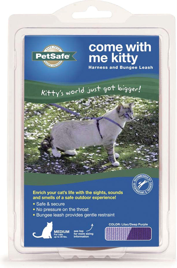Come With Me Kitty Cat Harness & Bungee Leash