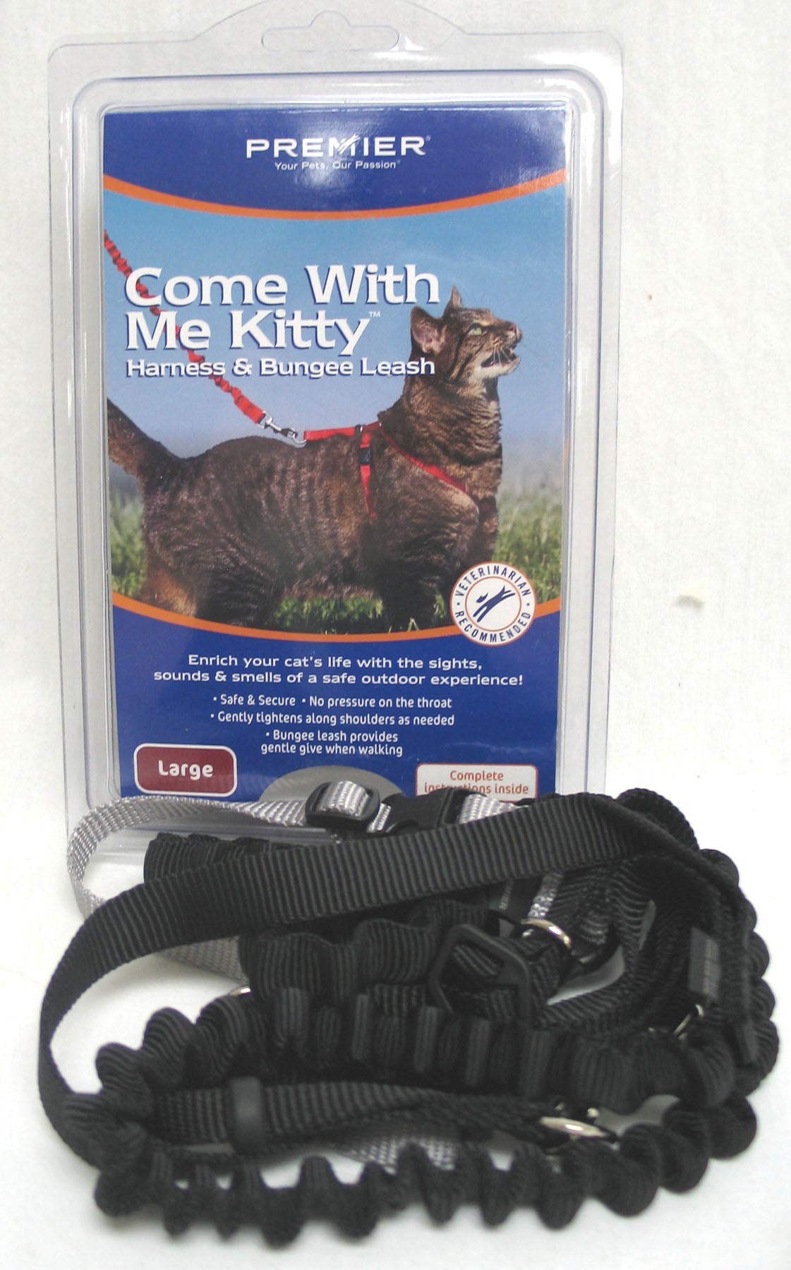 Come With Me Kitty Cat Harness & Bungee Leash