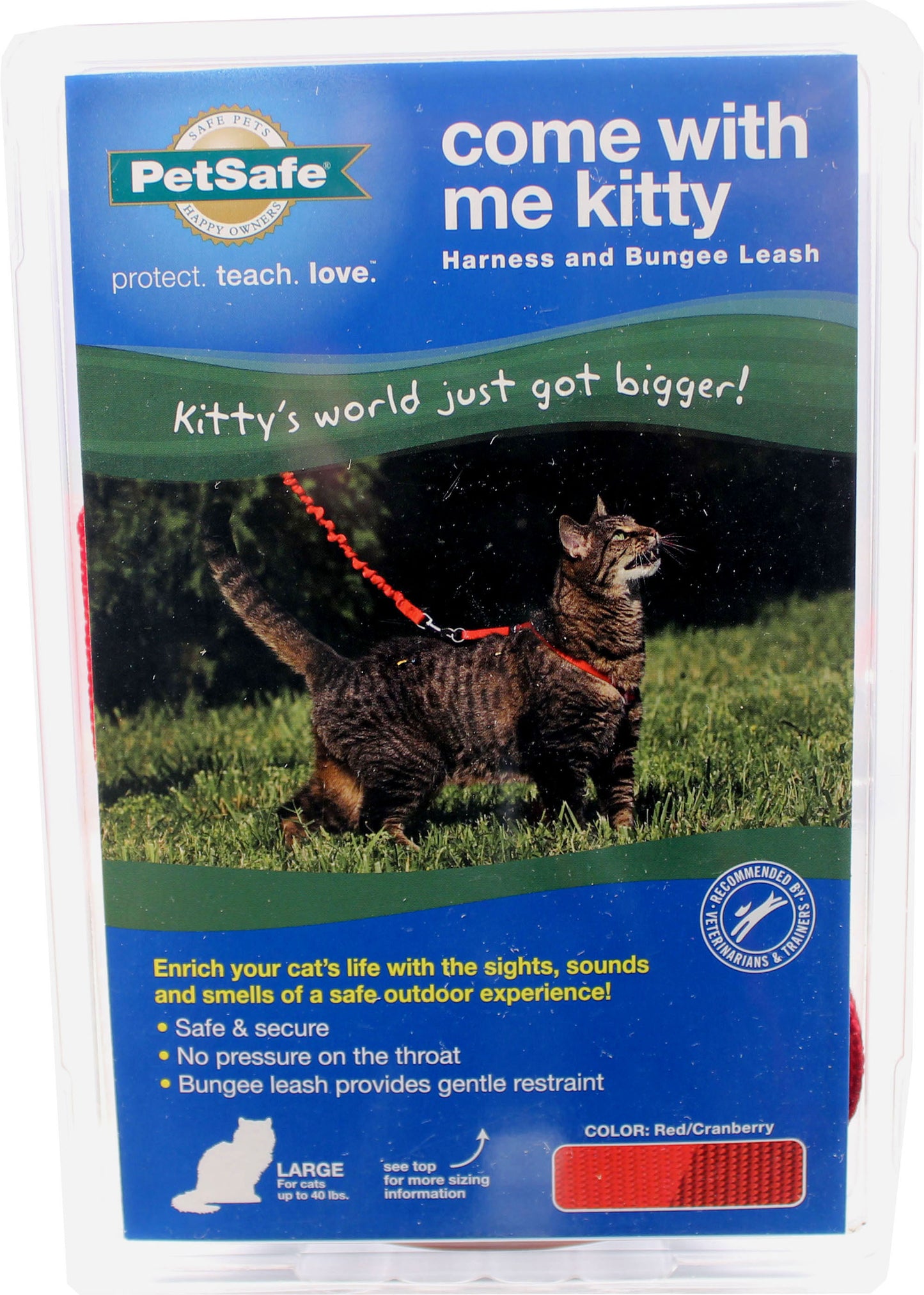 Come With Me Kitty Cat Harness & Bungee Leash