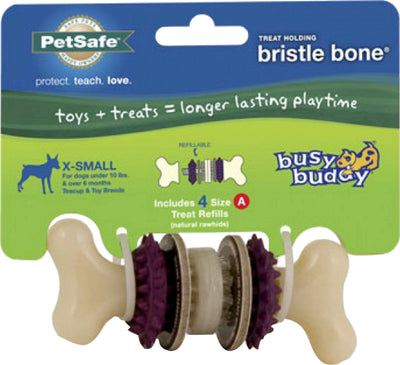 Busy Buddy Bristle Bone