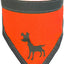 Visibility Dog Bandana