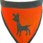 Visibility Dog Bandana