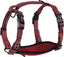 Alcott Adventure Harness