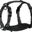 Alcott Adventure Harness