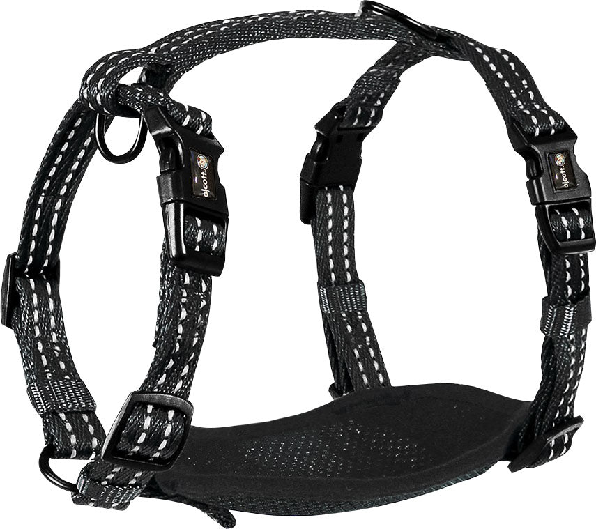 Alcott Adventure Harness