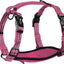 Alcott Adventure Harness