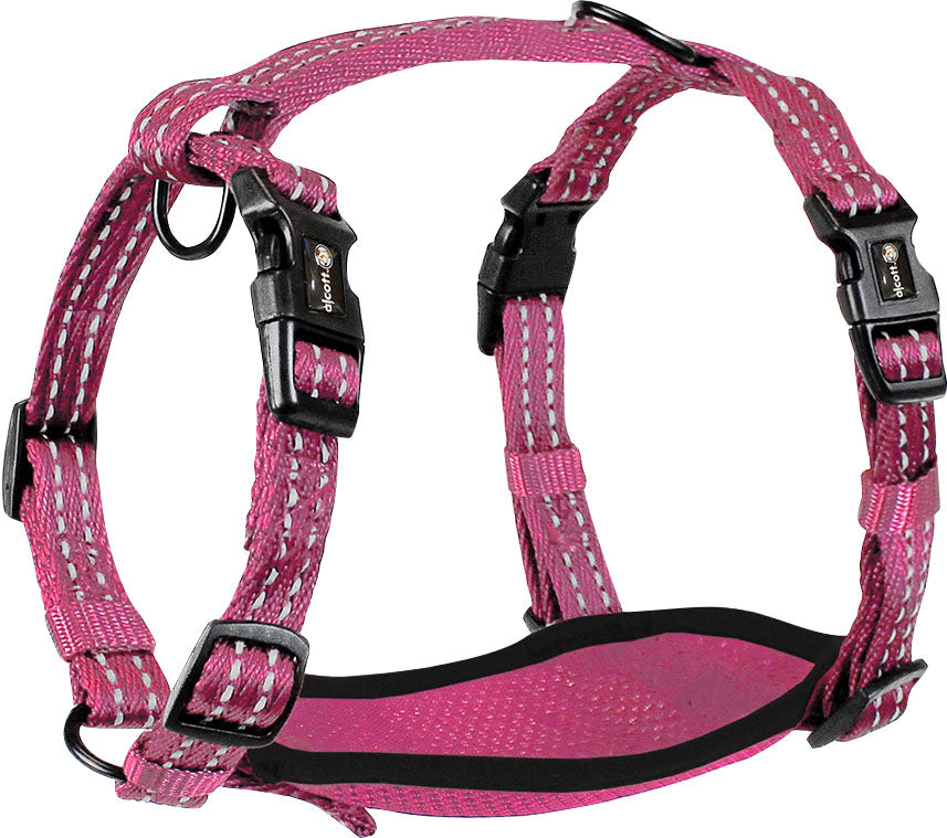 Alcott Adventure Harness