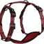 Alcott Adventure Harness