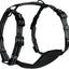 Alcott Adventure Harness