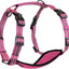 Alcott Adventure Harness