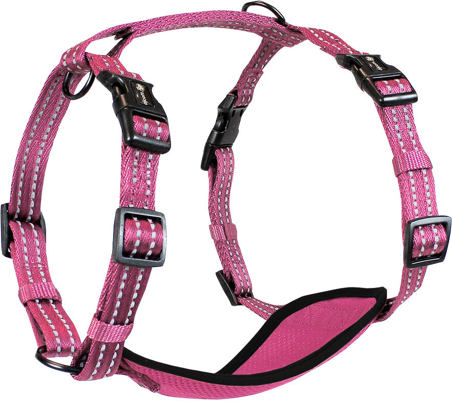 Alcott Adventure Harness