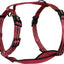 Alcott Adventure Harness