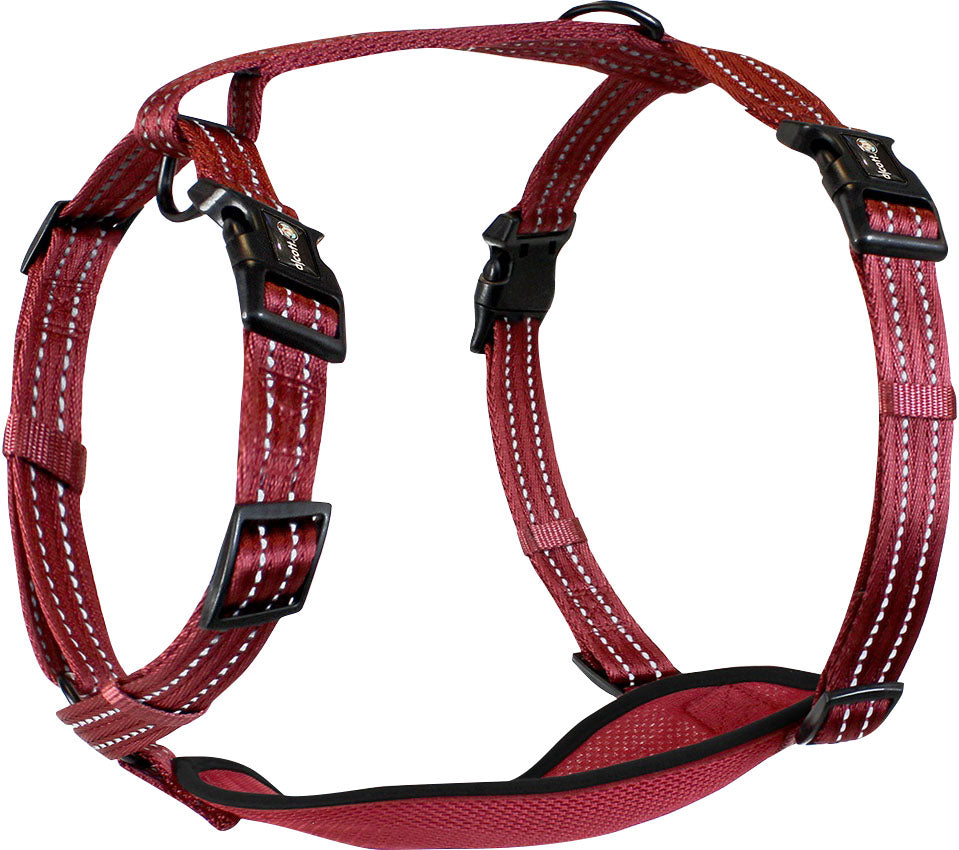 Alcott Adventure Harness