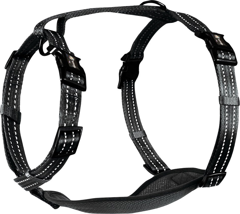 Alcott Adventure Harness