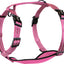 Alcott Adventure Harness
