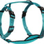 Alcott Adventure Harness