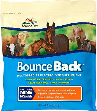 Bounce Back Multi-Species Electrolyte Supplement