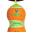 Spunkypup Squeaky Tennis Balls