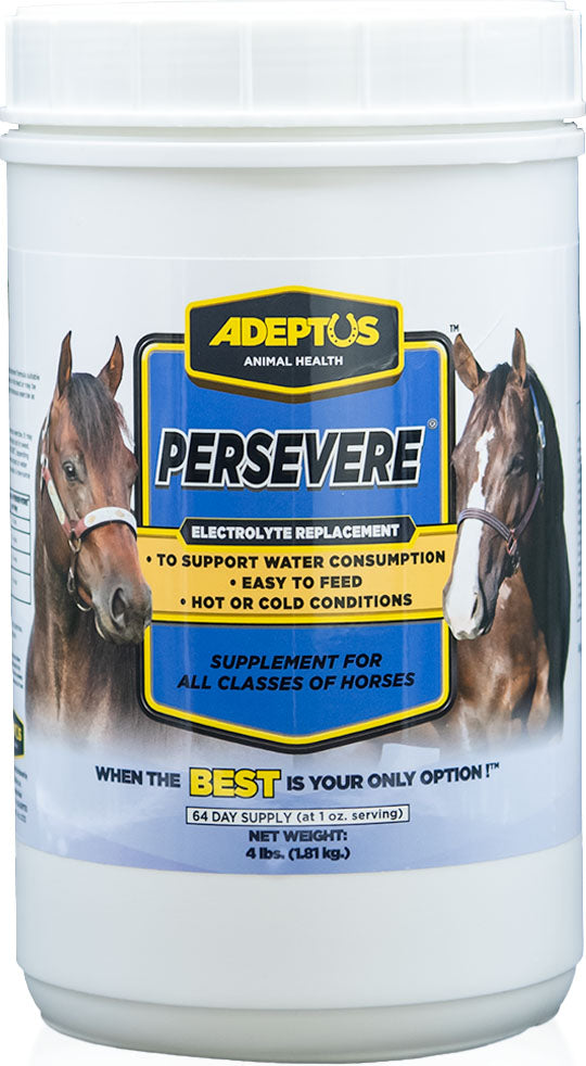 Adeptus Persevere Electrolyte