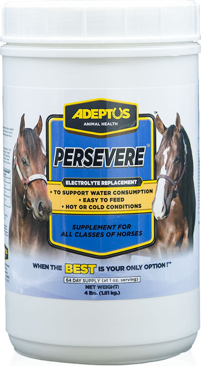 Adeptus Persevere Electrolyte