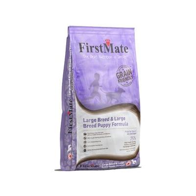 FirstMate Grain Friendly Large Breed & Large Breed Puppy Formula Dry Dog Food, 25 lb