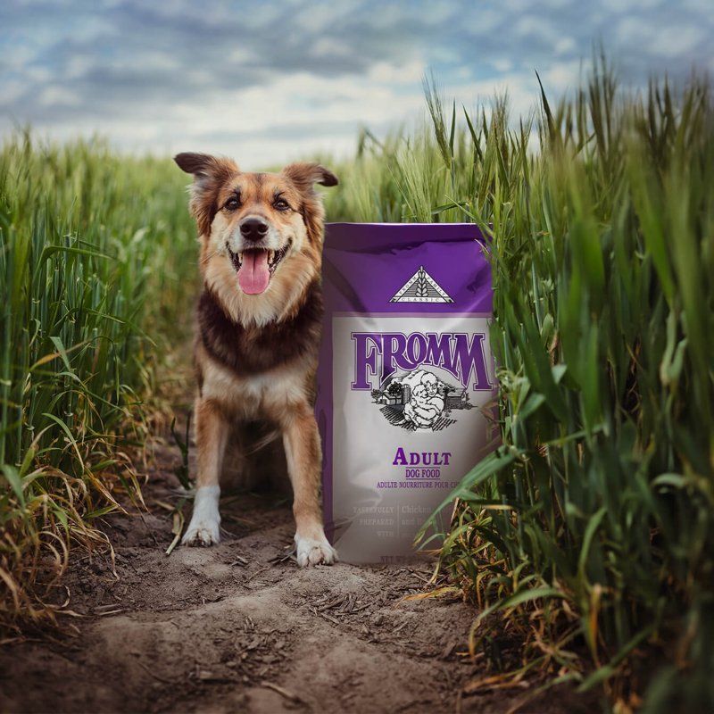 Fromm Classic Adult Dog Food - Premium Dry Dog Food for Large, Medium, & Small Breeds - Chicken Recipe - 30 lb