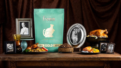 Fromm Adult Gold Dry Cat Food - Premium Cat Food for Adult Cats - Chicken Recipe - 4 lb