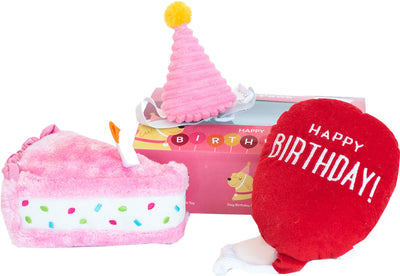 Zippypaws Birthday Girl Box