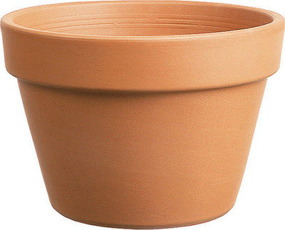 Southern Patio Azalea Clay Pot (Pack Of 5)