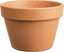 Southern Patio Azalea Clay Pot (Pack Of 5)
