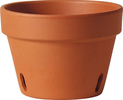 Southern Patio Orchid Clay Pot (Pack Of 12)
