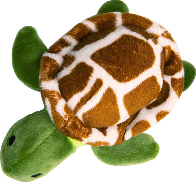 Snugarooz Baby Shelldon The Turtle