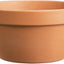 Southern Patio Azalea Clay Pot (Pack Of 5)