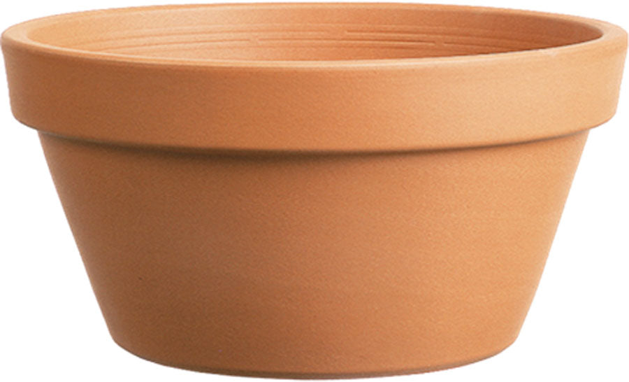 Southern Patio Azalea Clay Pot (Pack Of 5)