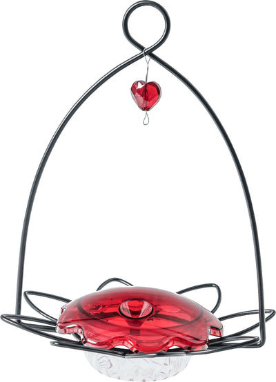 Bird'S Choice Decorative Flower Hummingbird Feeder