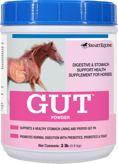 Uckele Gut Digestive And Gi Support Powder