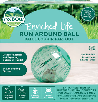Enriched Life Run Around Ball