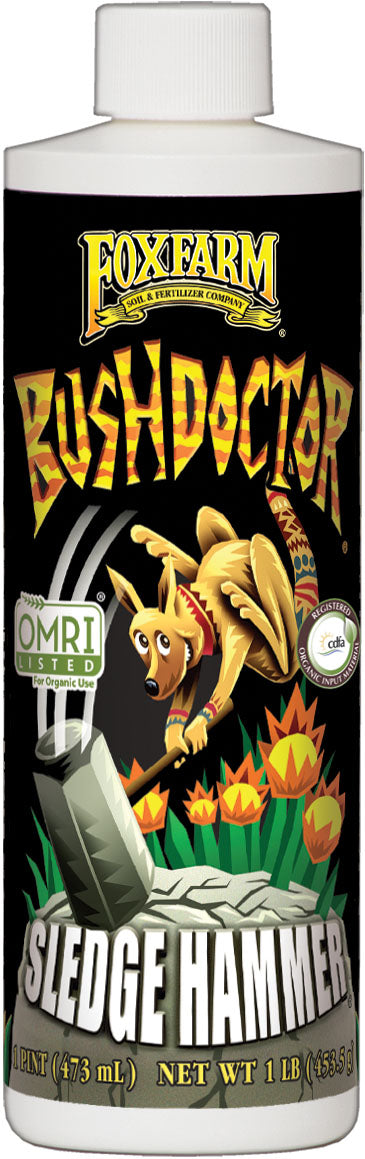 Bush Doctor Sledgehammer